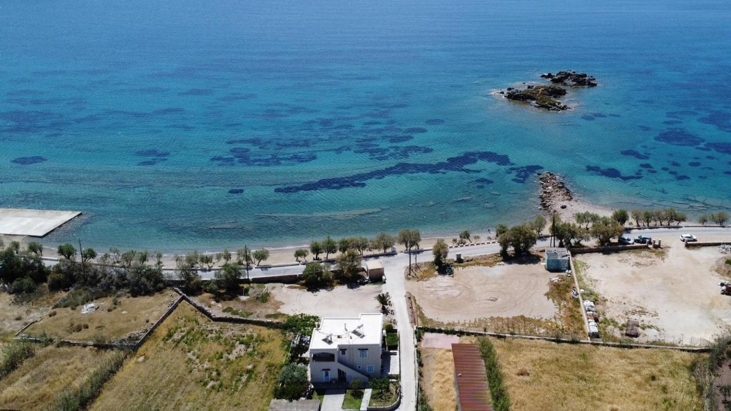 Olea Suite Syros - Φοίνικας, Σύρος, Κυκλάδες 포시드호니아 외부 사진